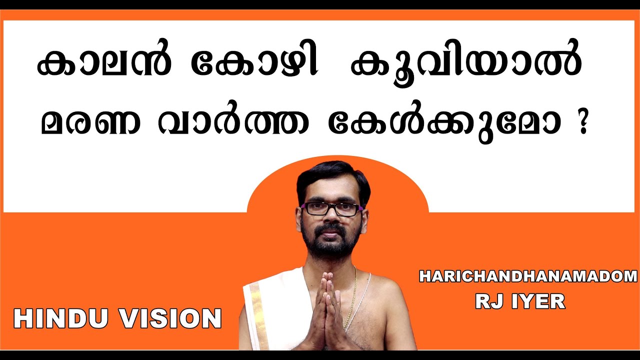 കാലൻ കോഴി  കൂവിയാൽ മരണ വാർത്ത കേൾക്കുമോ ? HINDU VISION!HARICHANDHANAMADOM ASTROLOGY