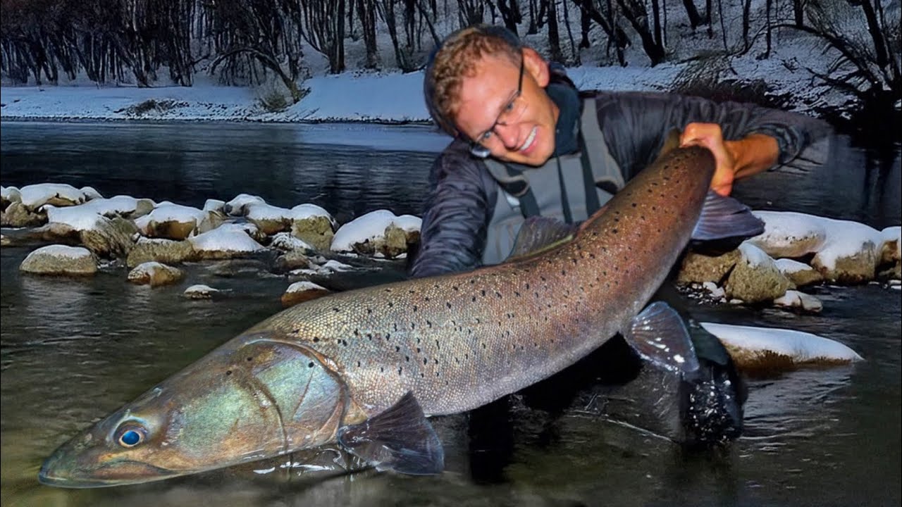 1,30m Huchen lebt in diesem Bergfluss!!!