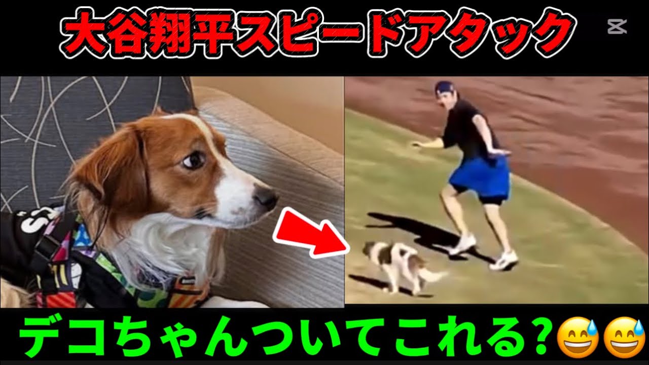 マッテェェェェ！！💨 大谷翔平スピードアタック デコピンついてこれる！？🤣