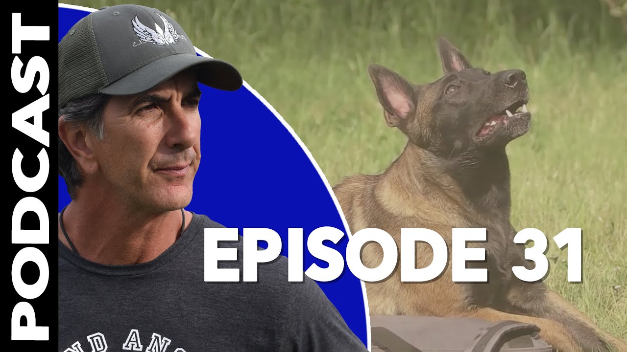 What Makes Dogs Dangerous - Robert Cabral Dog Training Podcast - Episode 31