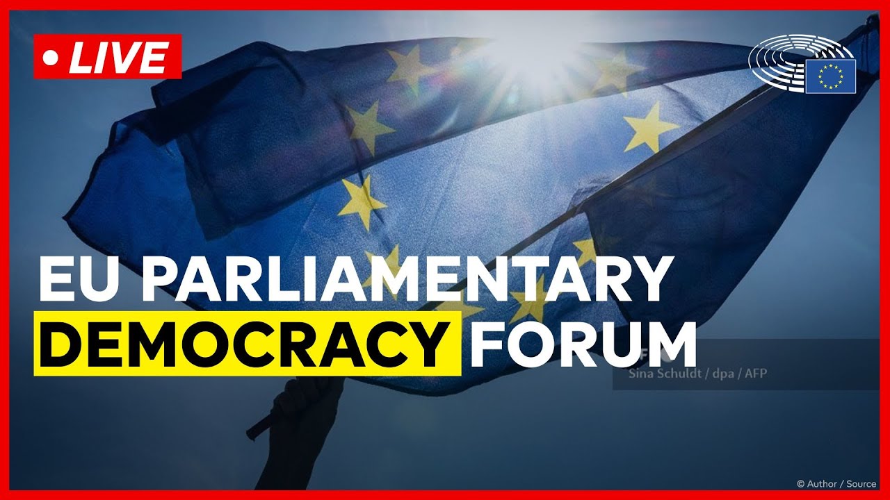 Taking the pulse of democracy: how to reinforce our democratic systems