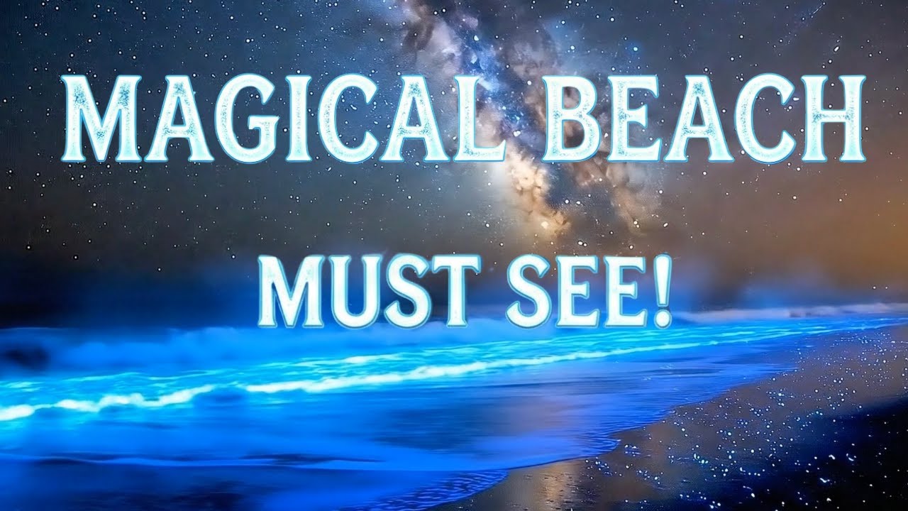 The Most Magical Beach Ever – Bioluminescent Waves Under the Milky Way (10 Hours)