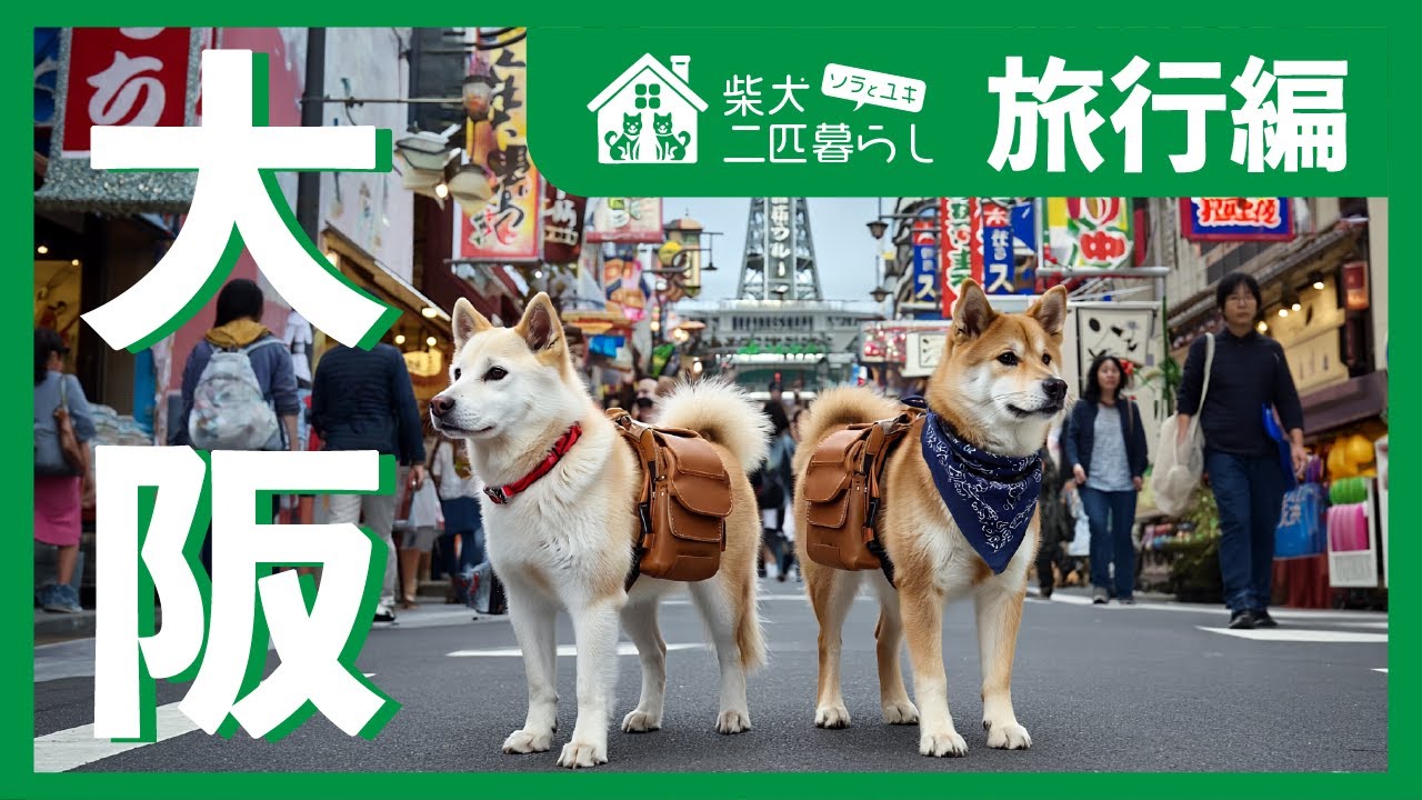【AI柴犬二匹暮らし】旅行編：大阪に行こう！｜Trip to Osaka!