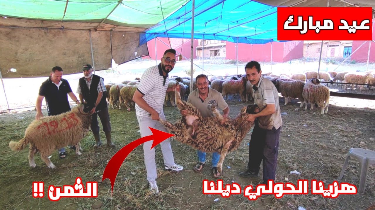 يوم قبل #العيد : الحولي ديالنا ها هو 😂 وها الثمن ديالو 