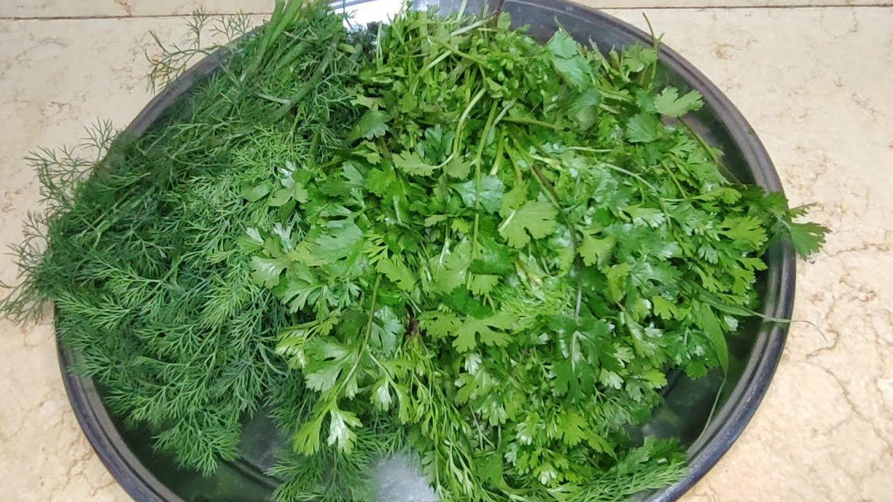 تخزين خضرة المحشي (البقدونس -الكزبرة-الشبت) من السنة للسنة بنفس اللون والطعم والرائحة