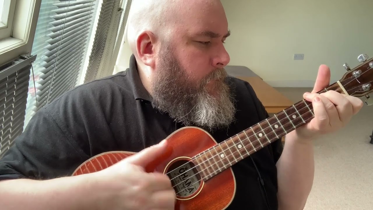 All the Small Things (Blink-182 Ukulele Cover)