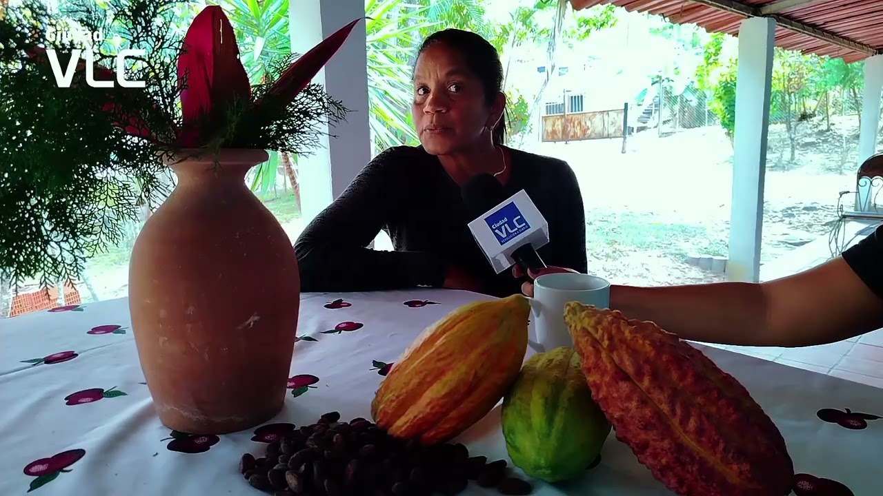 Hacienda Maíta: un legado familiar de cacao en Trincheras 
