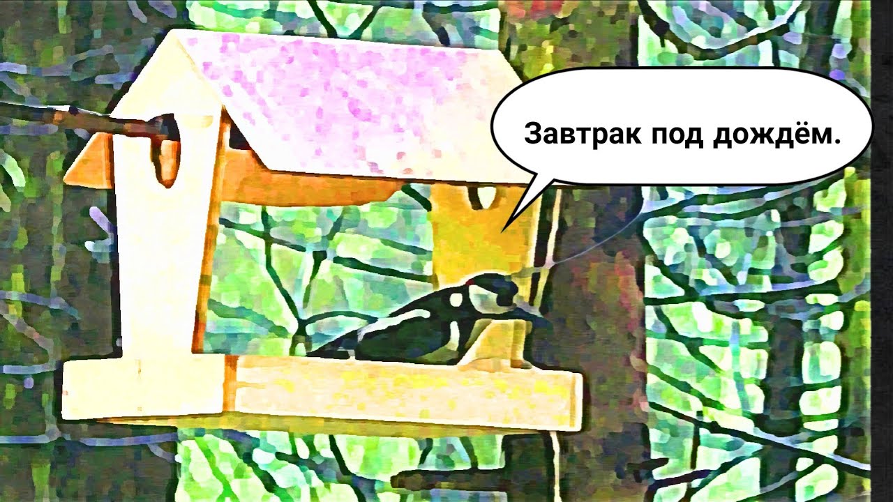 Завтрак в дождливом лесу. Успокаивающий шум дождя, шуршание листвы, треск огня и пение птиц.