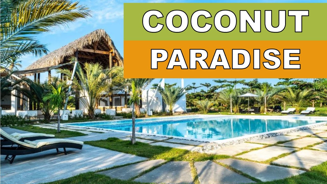 Full Tour: Coconut Paradise Beach Club, Playa Palenque, Dominican Republic