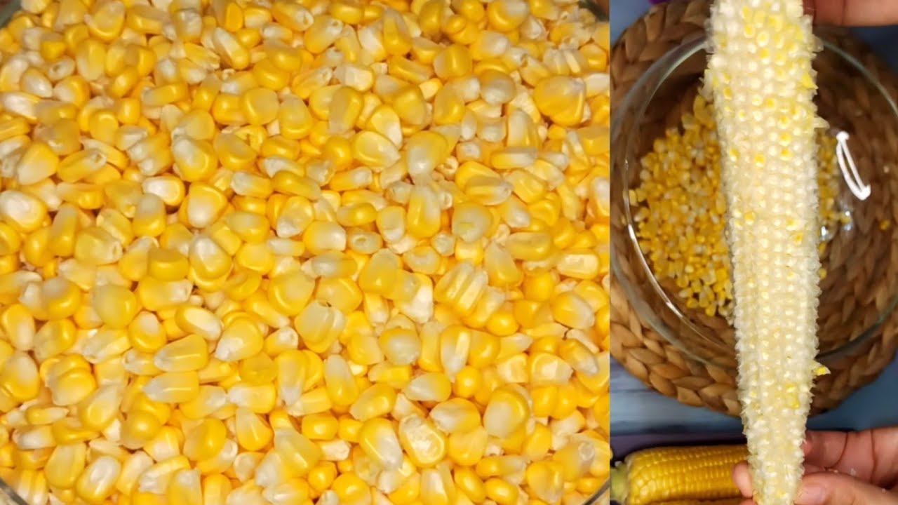 🌽 Çiğ Mısır Nasıl Ayıklanır 💯 Mısır Ayıklamanın En Kolay Yolu ❓ MISIR AYIKLAMA | Kış Hazırlıkları