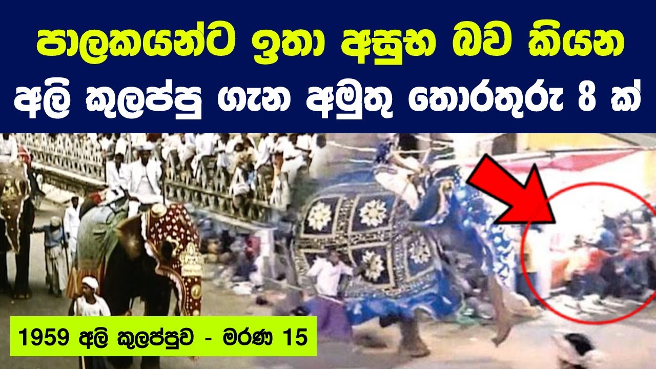 පාලකයන්ට අසුභ බව කියන අලි කුලප්පු ගැන අමුතු තොරතුරු 8 ක් | Kandy Perahera Festival 1959