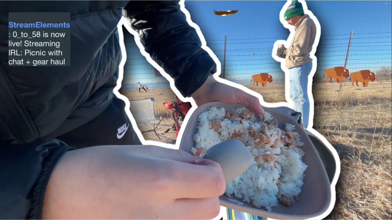 We Went On A Picnic With Chat