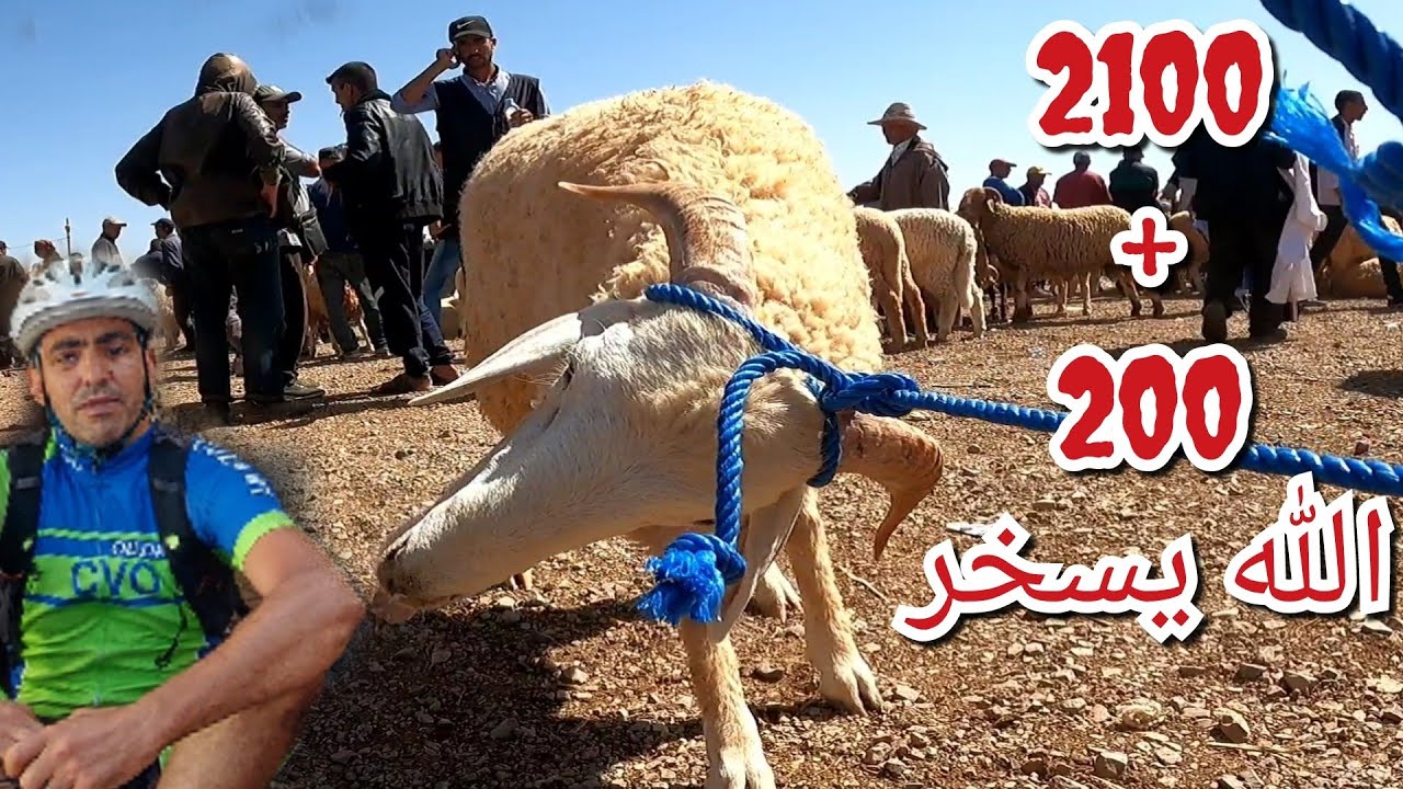 سوق#وجدة #oujda #maroc