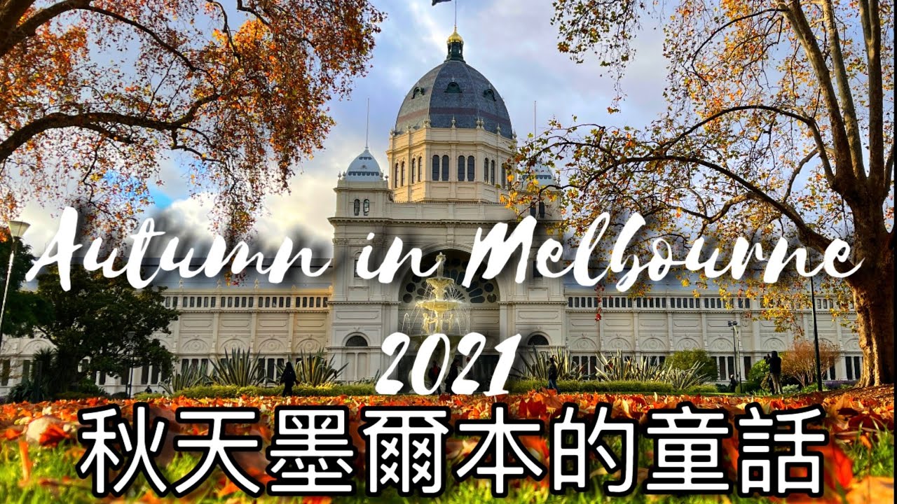 秋天墨爾本的童話Autumn in Melbourne,純風景與鋼琴What a wonderful world伴奏，秋天落葉浪漫都市