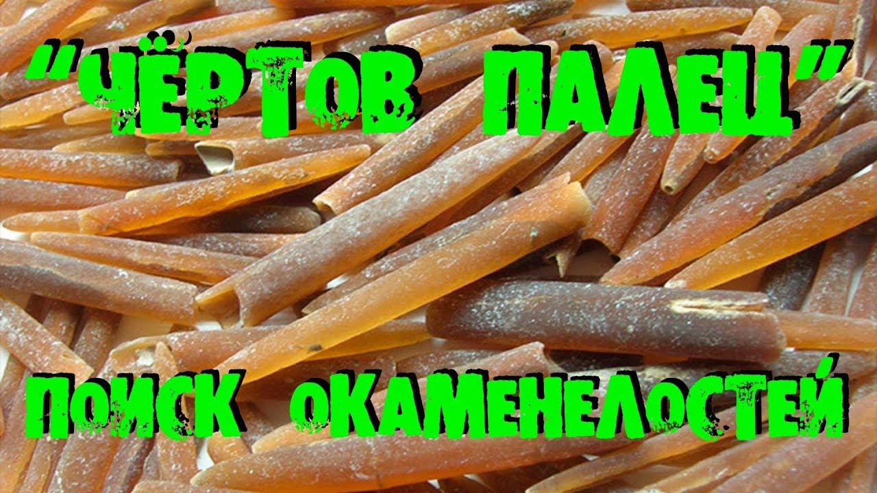ПОИСК ОКАМЕНЕЛОСТЕЙ ЧЁРТОВЫ ПАЛЬЦЫ БЕЛЕМНИТЫ SEARCH OF FOSSILS BLOODY FINGERS BELEMNITES