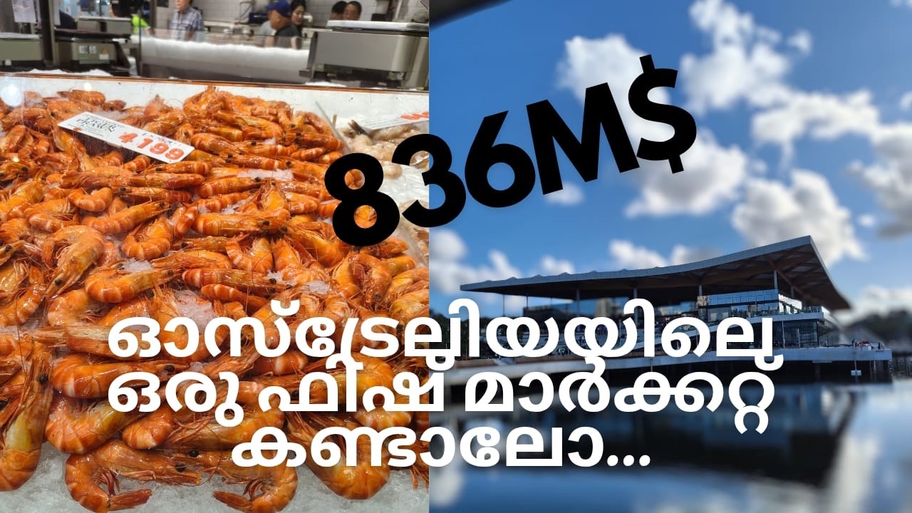Sydney New Fish Market 2026
