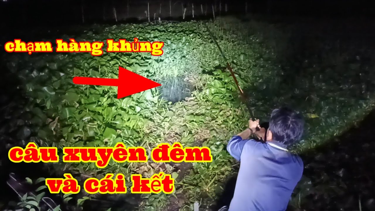 Thử câu đêm không ngờ đụng hàng khủng thật