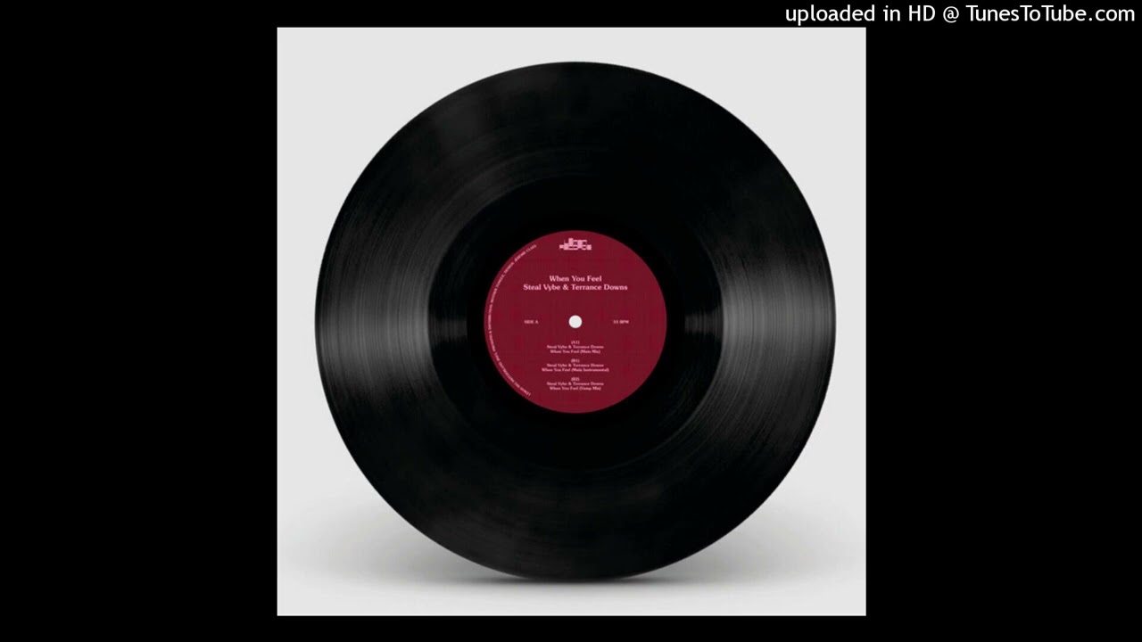 Steal Vybe & Terrance Downs - When You Feel (Main Instrumental)
