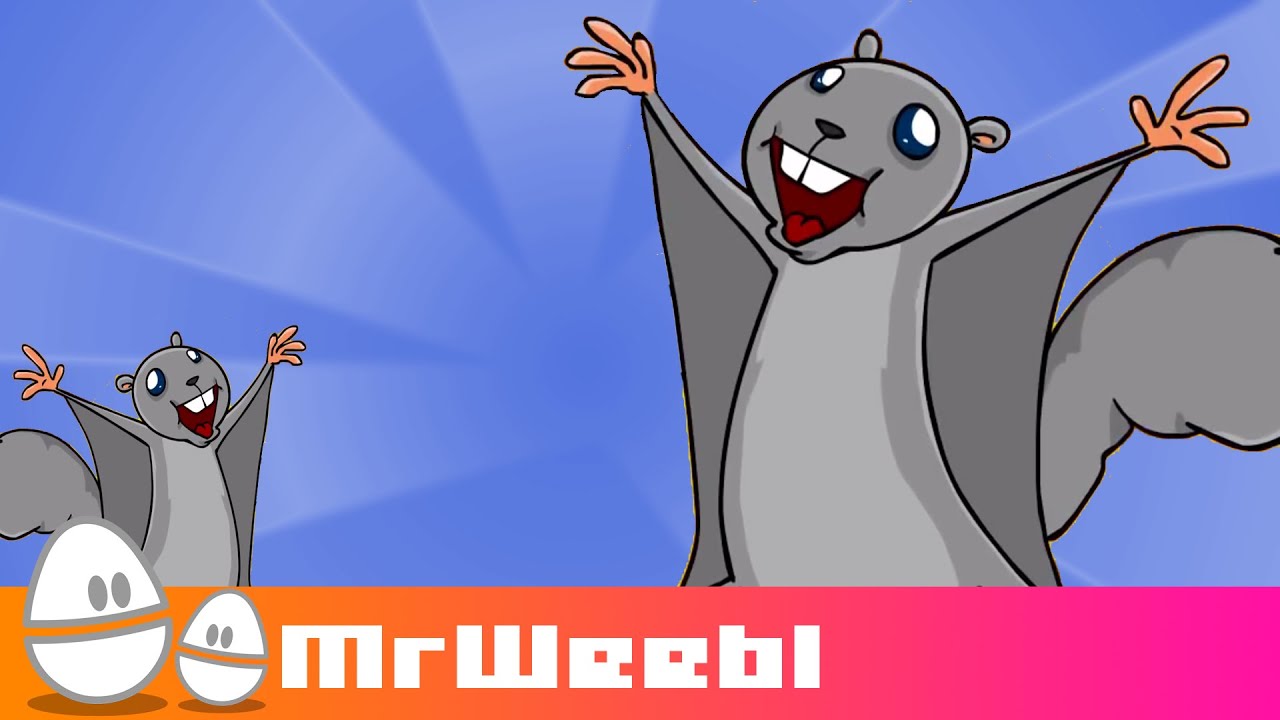 Flying Squirrels : animated music video : MrWeebl