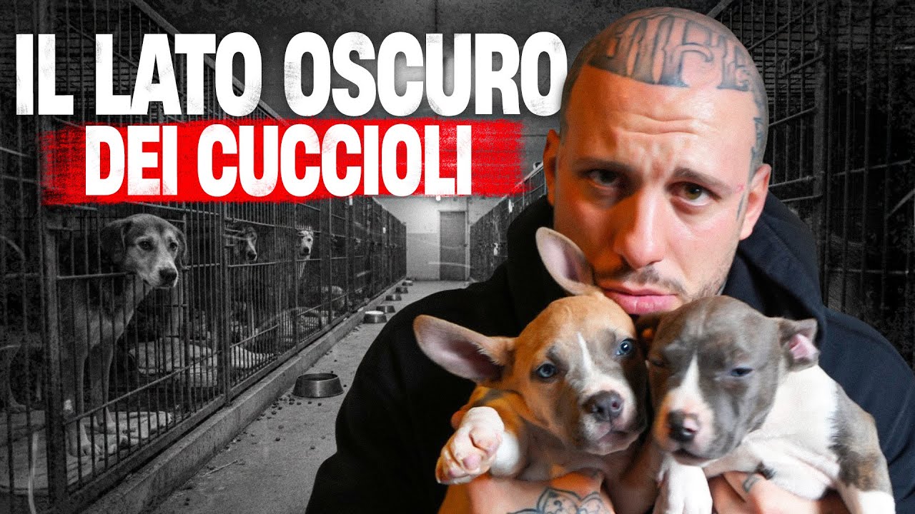 QUELLO CHE NESSUNO DICE!