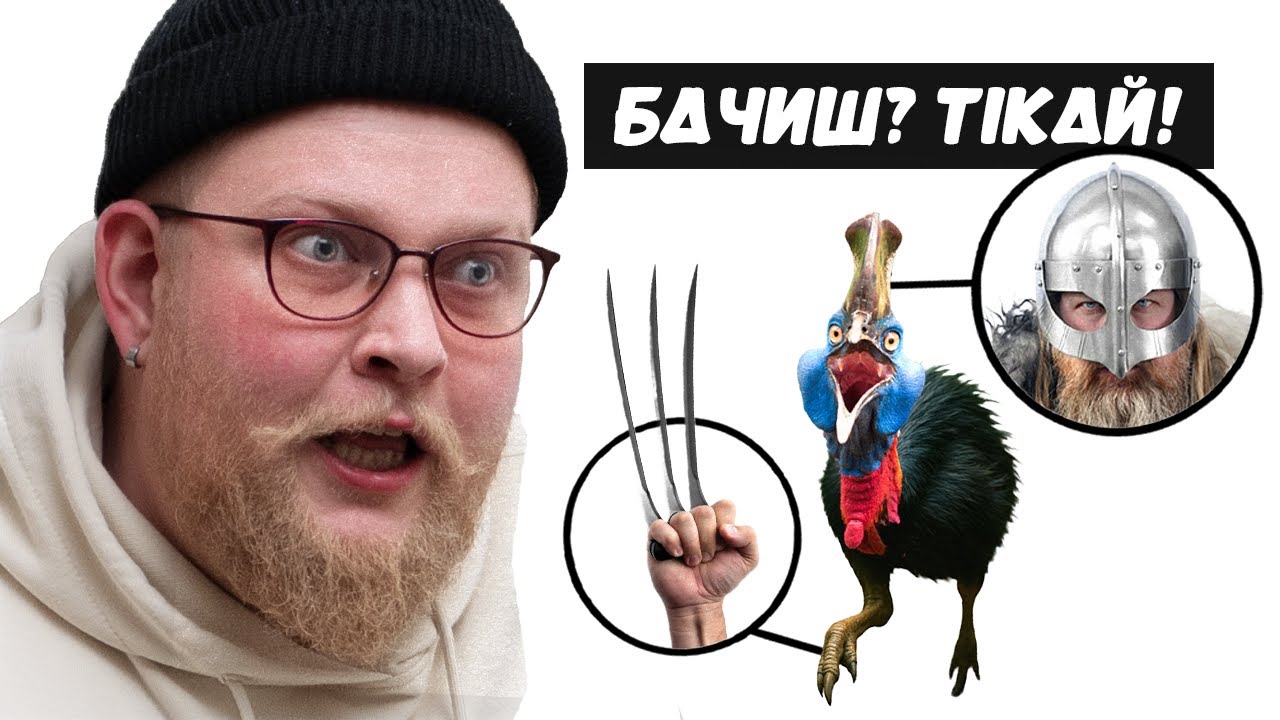 КАЗУАР: птах, якого краще не злити