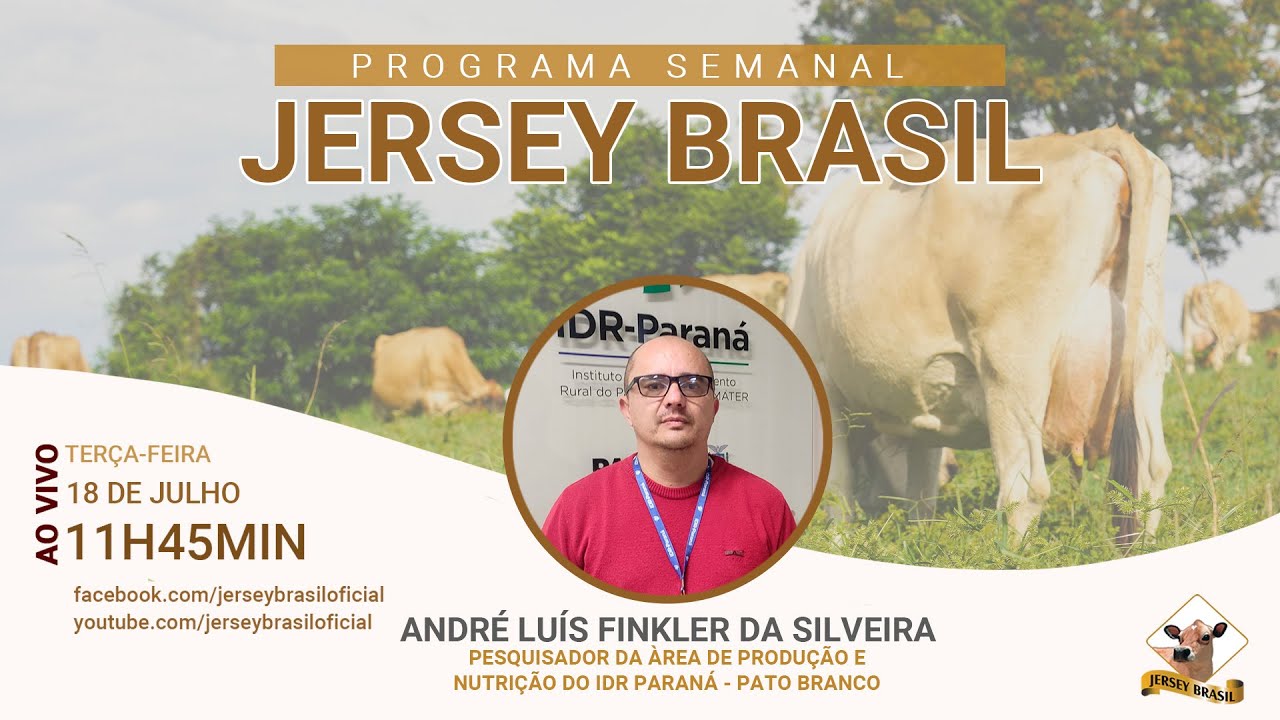 Programa Jersey Brasil - 18/07/2023