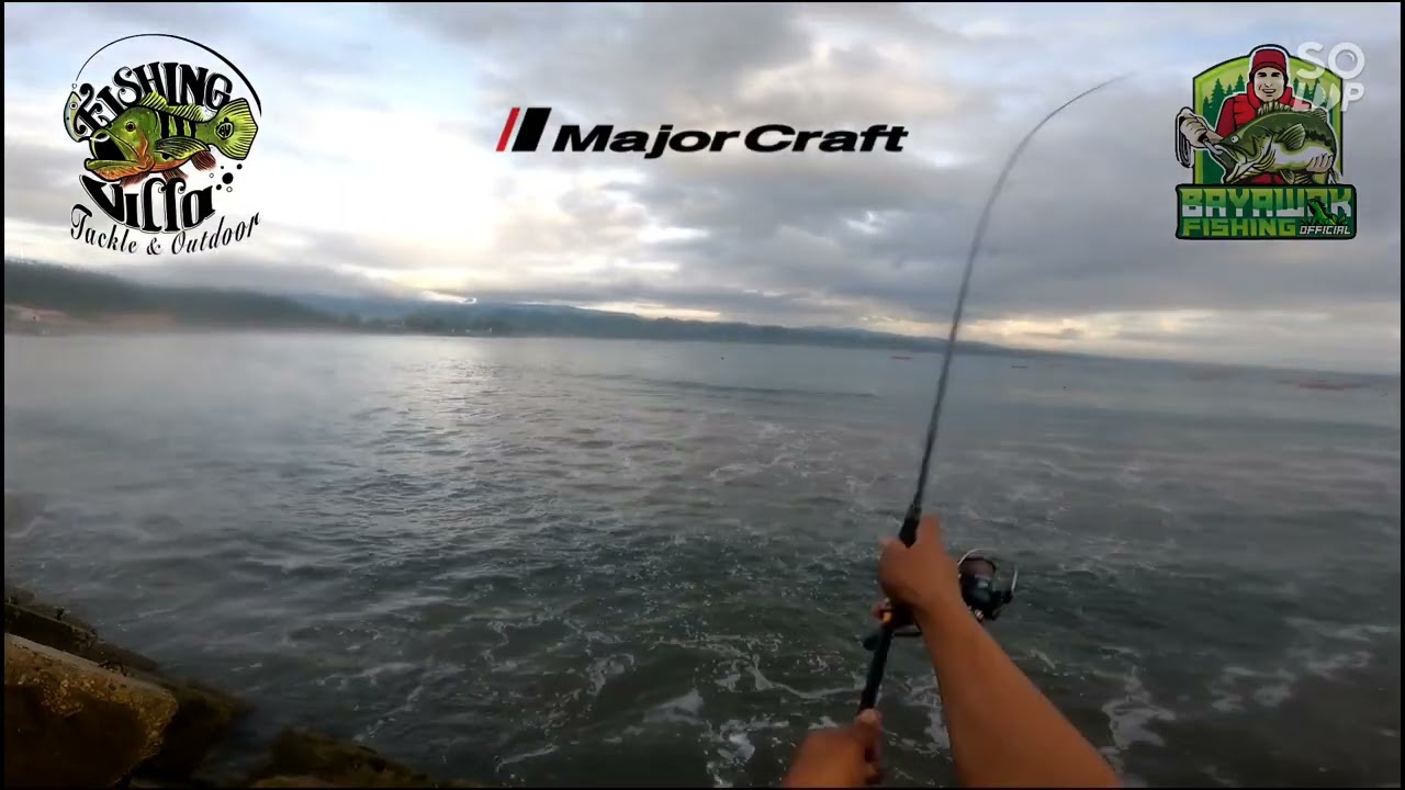 Shorecast fishing|Major Craft Crostage Mebaru 862M|EP2