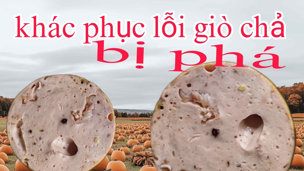 những điều cần biết gánh cho những bạn mới. bước chân vào làm nghề giò chả. làm sao không bị phá