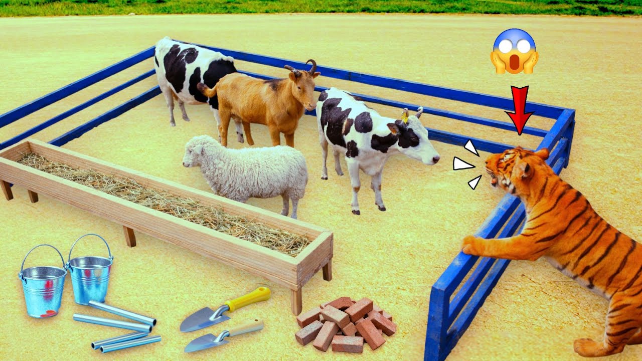 Building a Strong & Beautiful Animal Shelter – Safe and Stylish Design