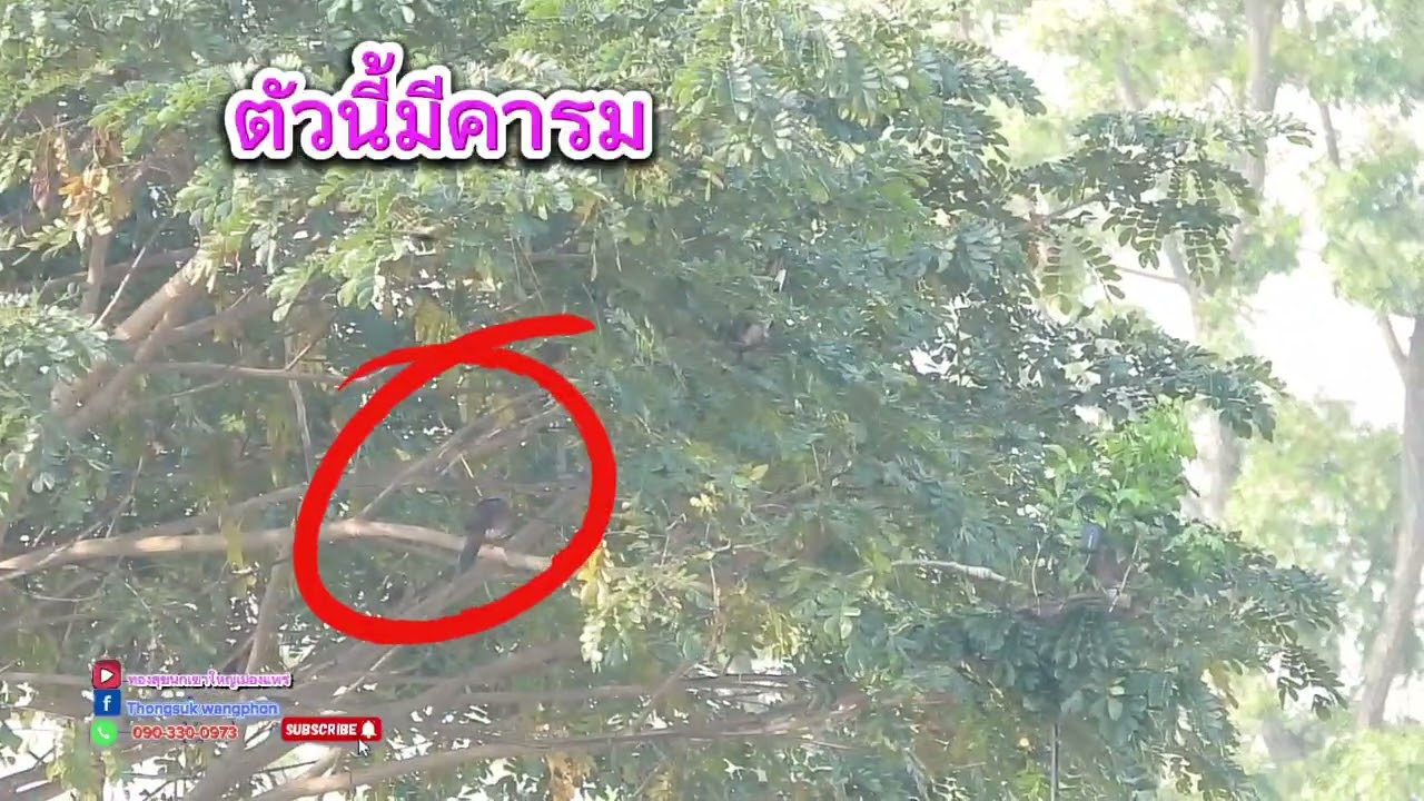 #ออกหมายตามเสียงใหญ่คารม@กับเจ้าไฟเตอร์
