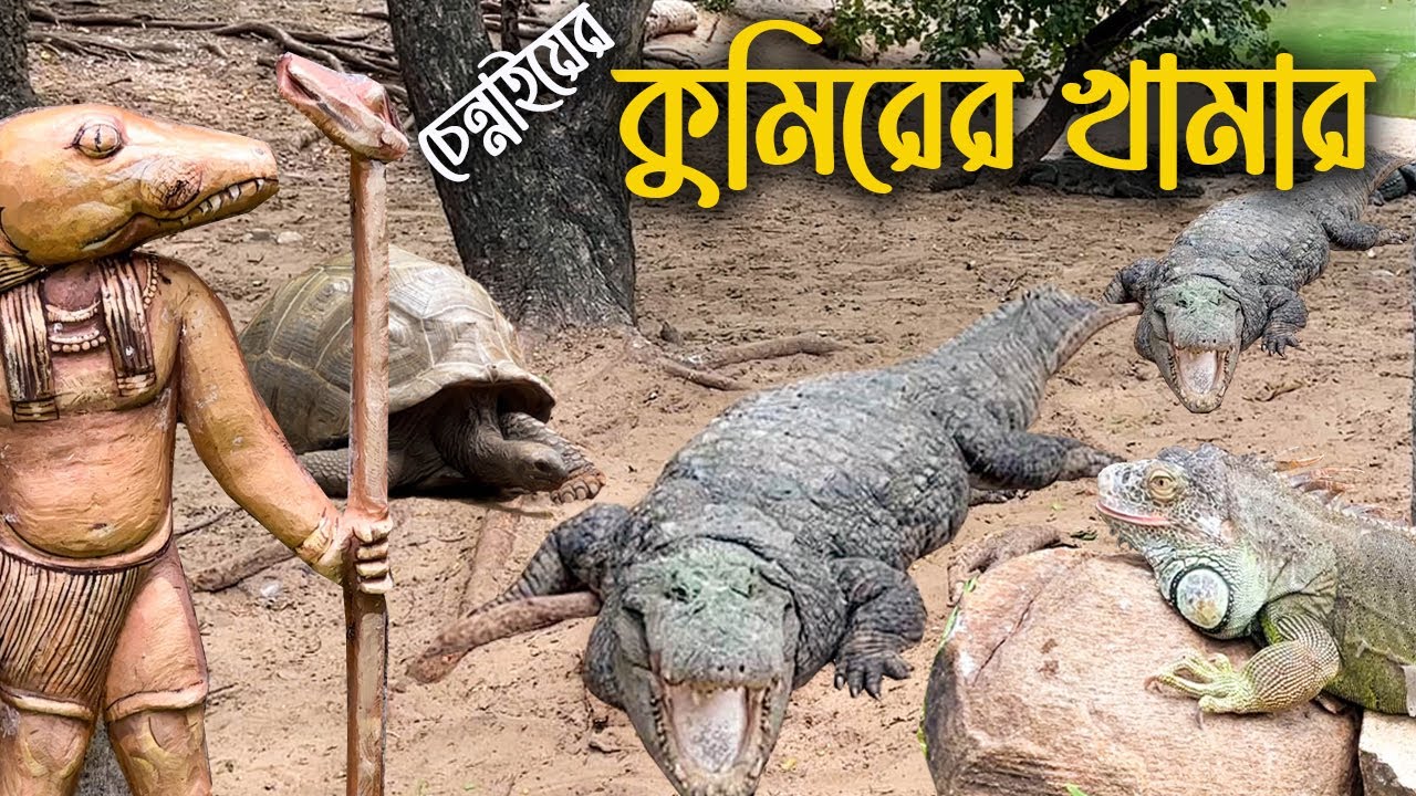 চেন্নাইয়ের কুমিরের খামার || কুমির ছাড়াও রয়েছে ১৫২ বছর বয়েসী বিশাল কচ্ছপ || Crocodile Bank Chennai