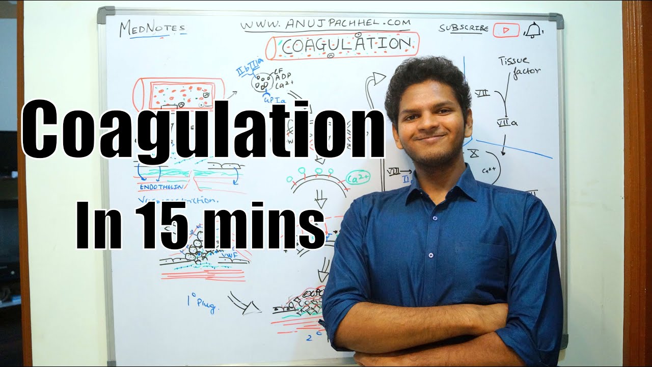 Blood Coagulation - Pathophysiology | Anuj Pachhel
