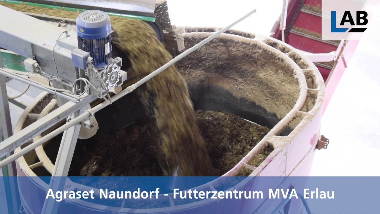 Automatisierte Fütterung von Rindern