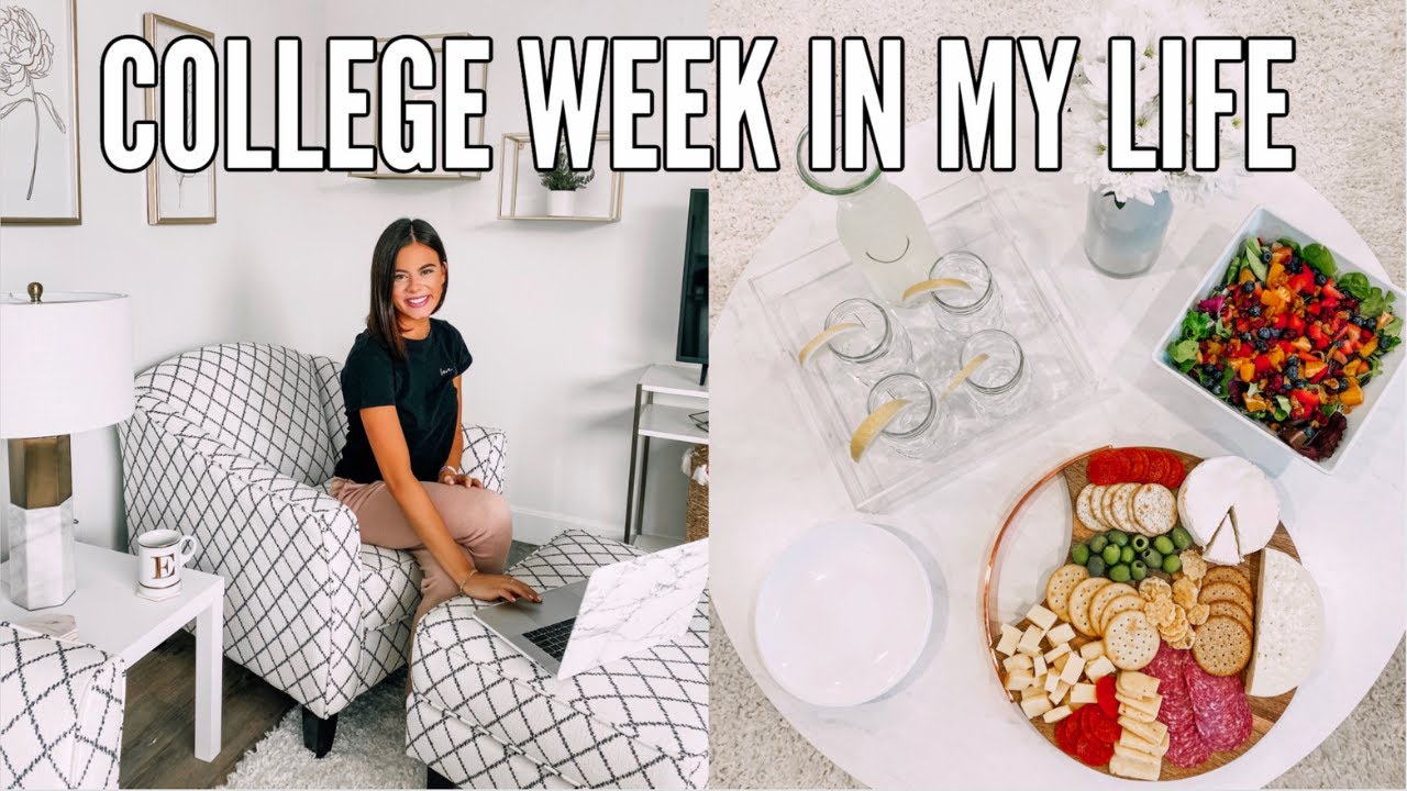 VLOG: first week of college | starting my online classes, grocery haul, cheeseboard!