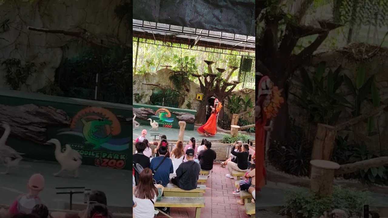 Davao Crocodile Park and Zoo show.. 