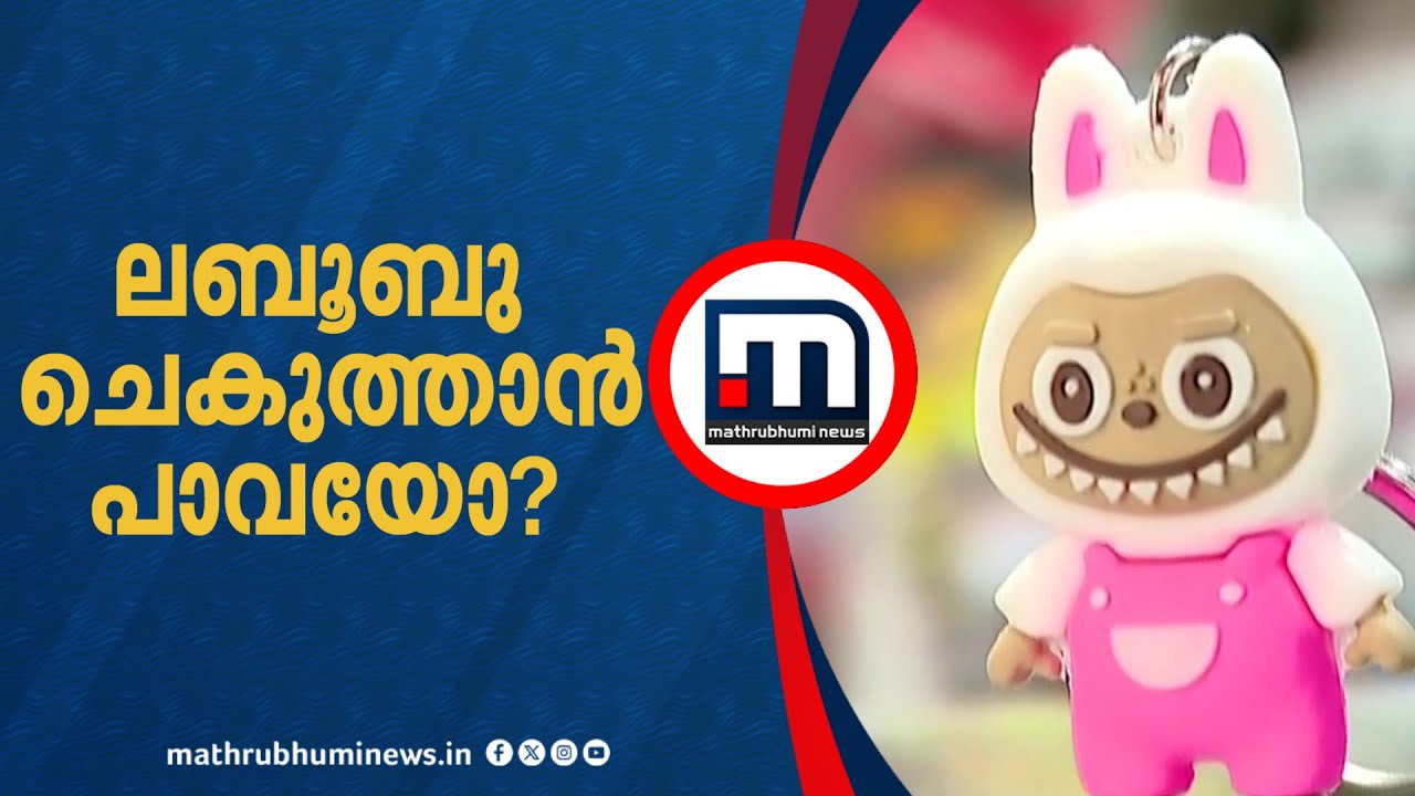 കേരളത്തിലും തരംഗമായി ലബൂബു; ചെകുത്താൻ സങ്കൽപ്പത്തിലെ പാവയെന്ന് വിമർശനം | Labubu | Doll