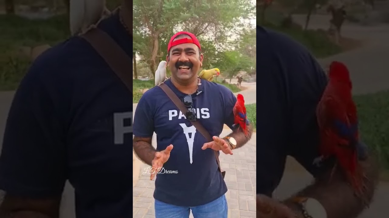 കുവൈറ്റിലെ പുതിയ ടൂറിസ്റ്റ് കേന്ദ്രം | kuwait New zoo | #latestshortvideo #malayalamshots #ltdreams
