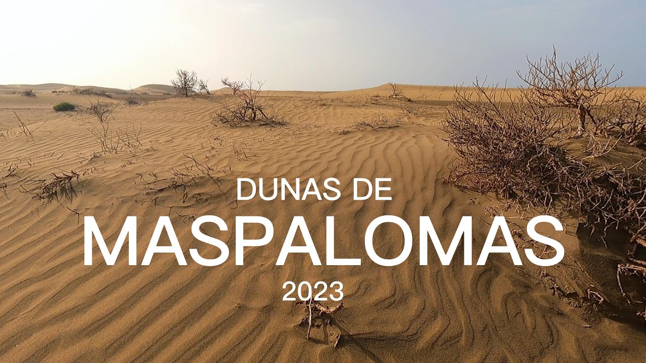 Maspalomas dunes,Gran Canaria walking tour in August 2023