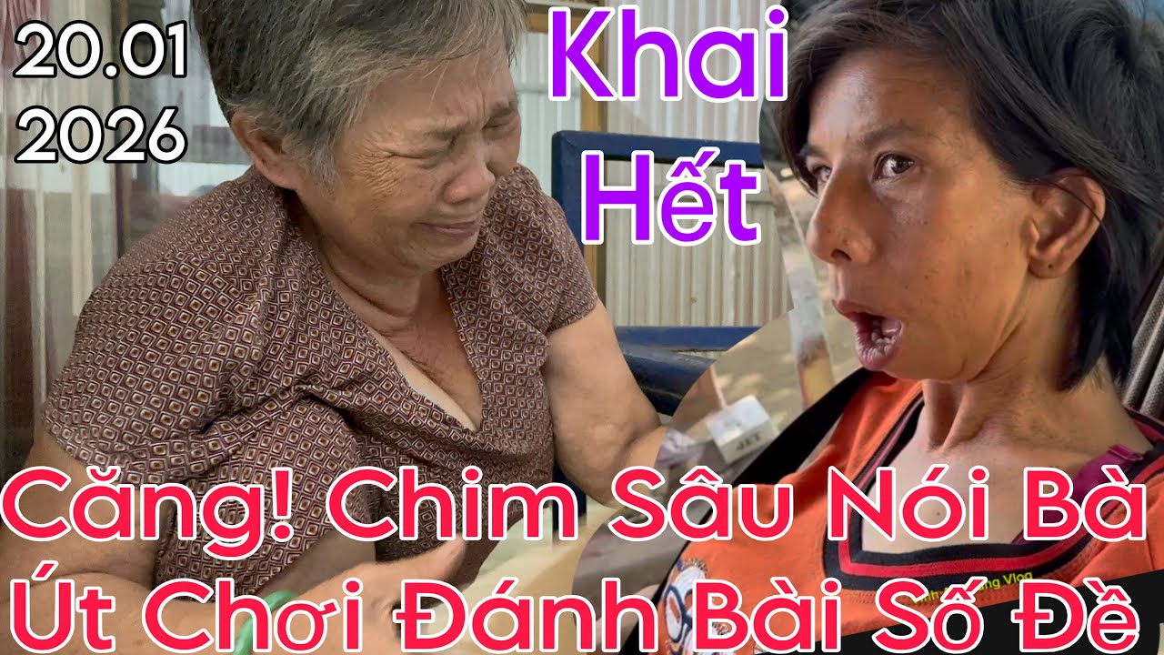 Căng! Chim Sâu Nói Bà Út Chơi Đánh Bài, Số Đề #thinhhanh #yeucuocsong #mientay 