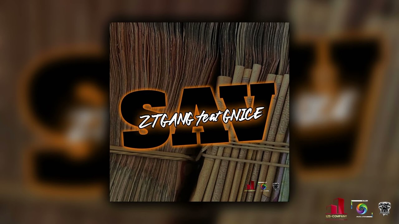 ZT GANG -x GNICE - SAV [AUDIO]