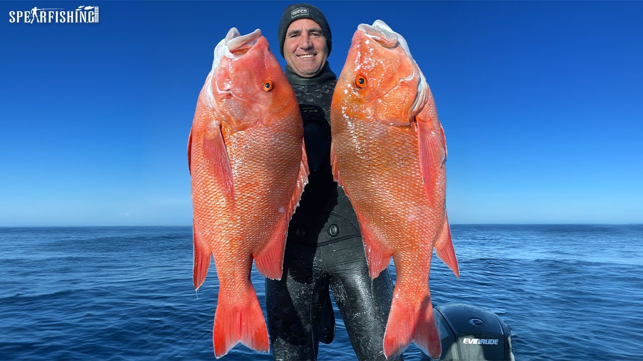 Man vs 4 Bull Sharks: Insane Spearfishing!