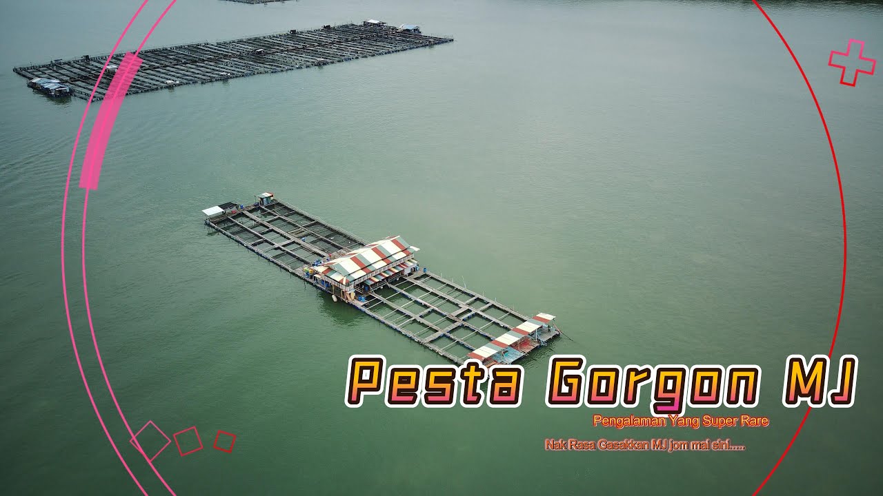 Pesta MJ di Kelong Ocean Pulau Ketam Selangor