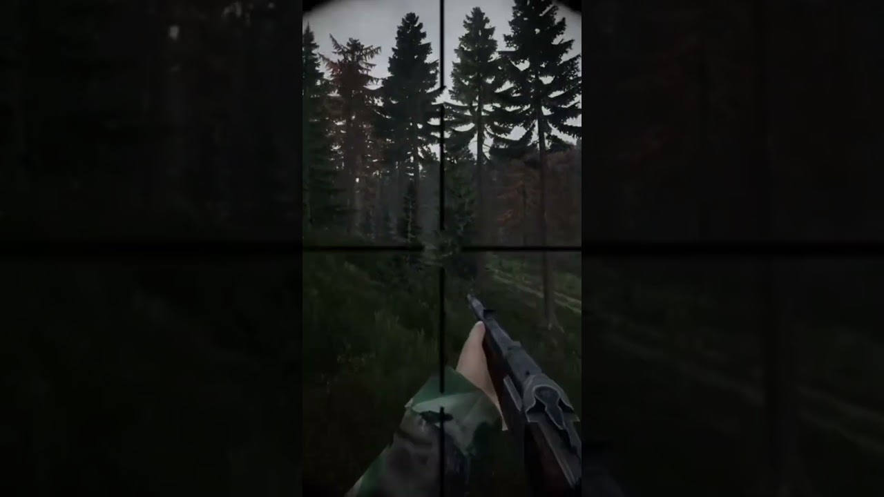 I dont like the blaze in DayZ