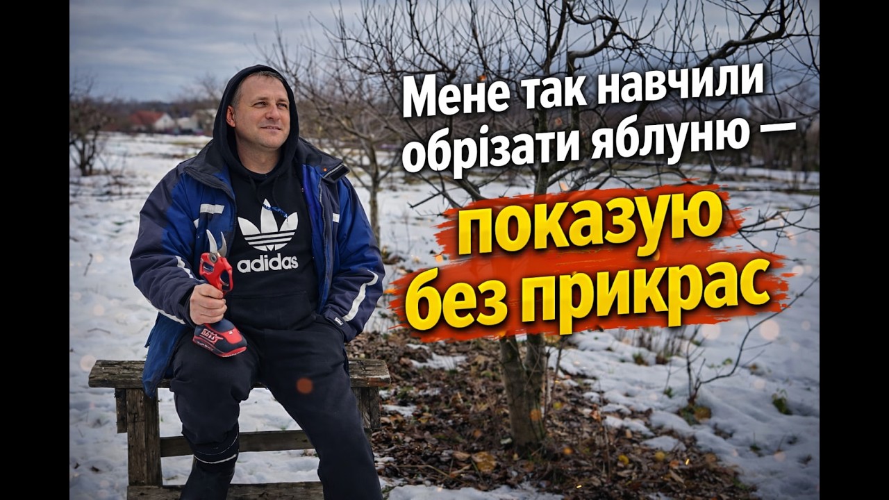 Мене так навчили обрізати яблуню — показую без прикрас