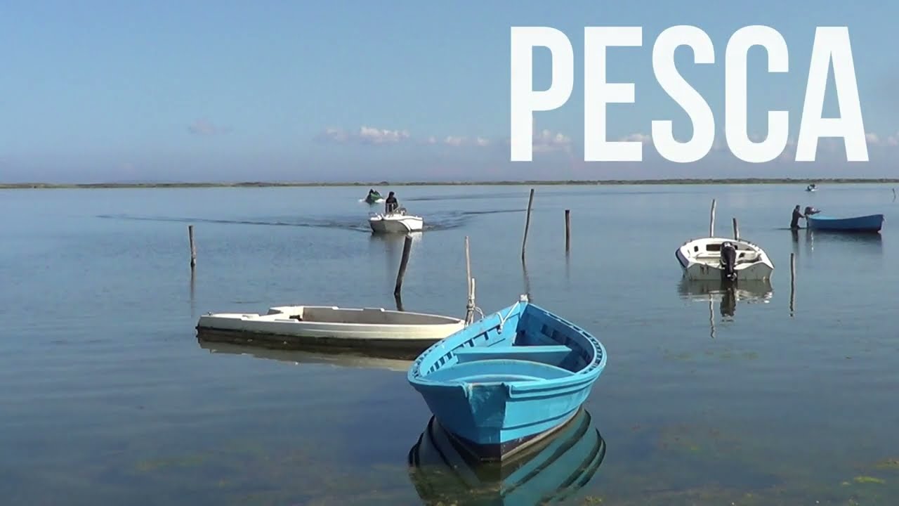 Terralba - Museo del Mare Marceddì: Video promo agosto 2023