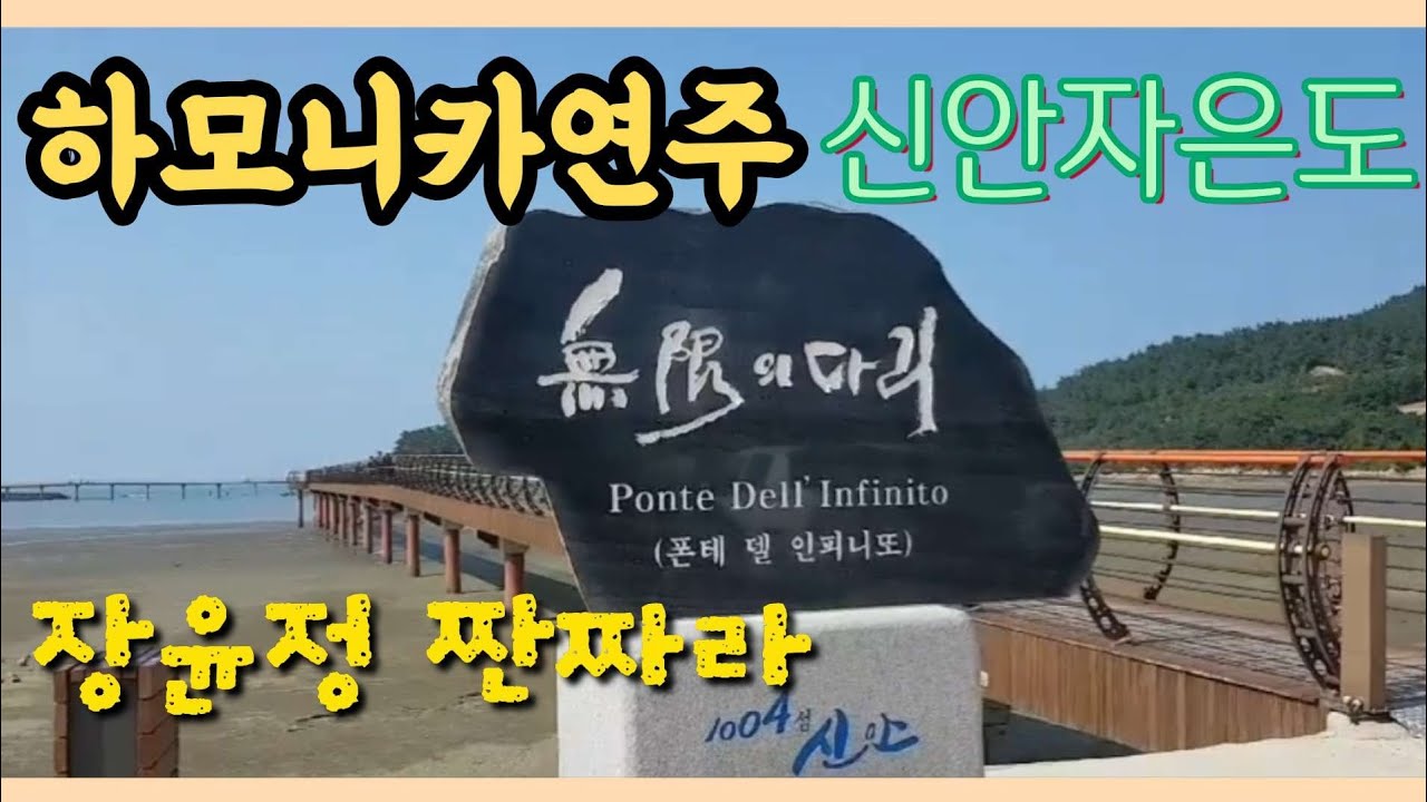 장윤정 짠짜라 하모니카연주Ckey 신안 자은도Jang Yoonjeong, Jjanjara Harmonica performance Korea's Shinan, Jaeundo