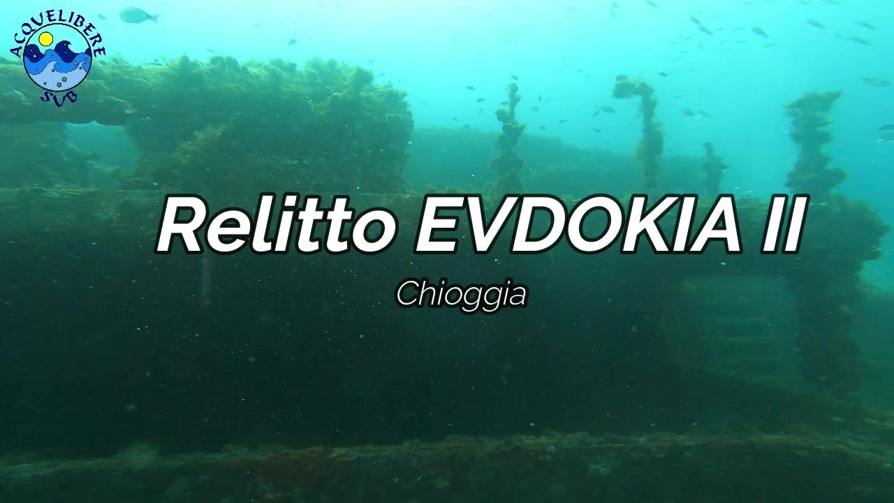 Evdokia II - Relitto del Mercantile al largo di Chioggia - Relitti visitabili dell'Alto Adriatico