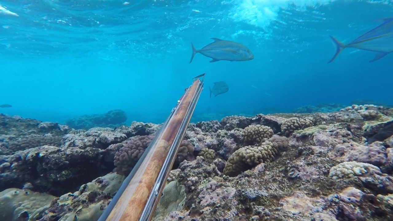 spear patrol