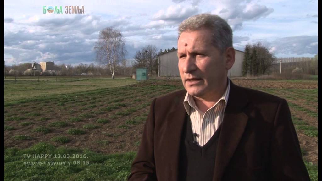 Kako pravilno sejati lucerku i sta ako ne moze lucerka koja je alternativa