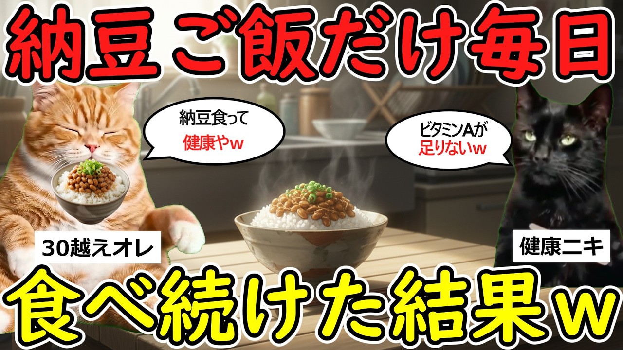 【猫ミーム】悲報！納豆ご飯だけ毎日1年間食べ続けた結果ｗｗ【2chまとめ】